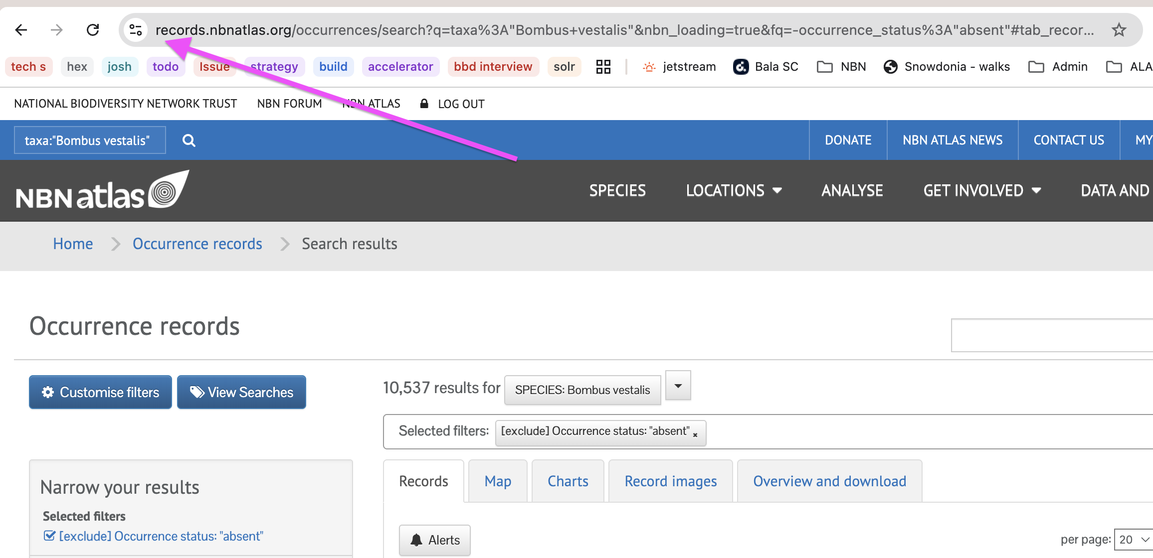 NBN Atlas Search Bar Help