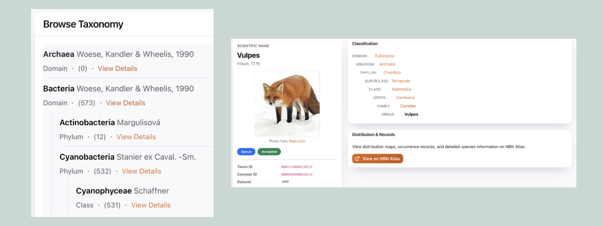 UKSI Taxonomy Browser interface showing species search and hierarchical navigation